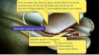 мэдрэхүй | PPT
