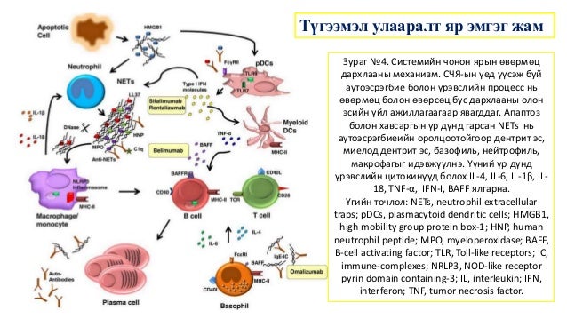 аутоиммун өвчин