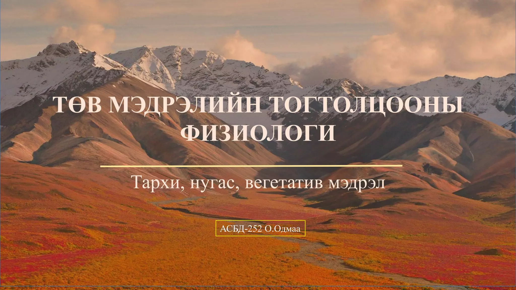 ТМТ | PPT