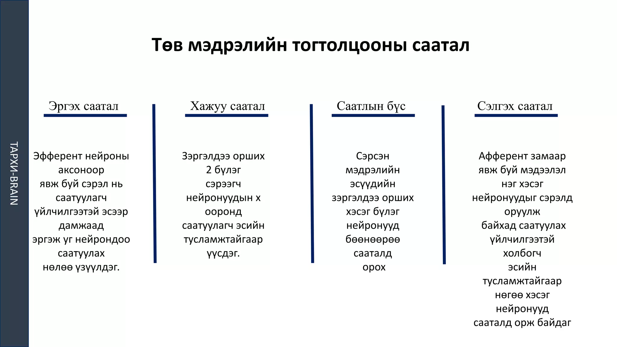 ТМТ | PPT
