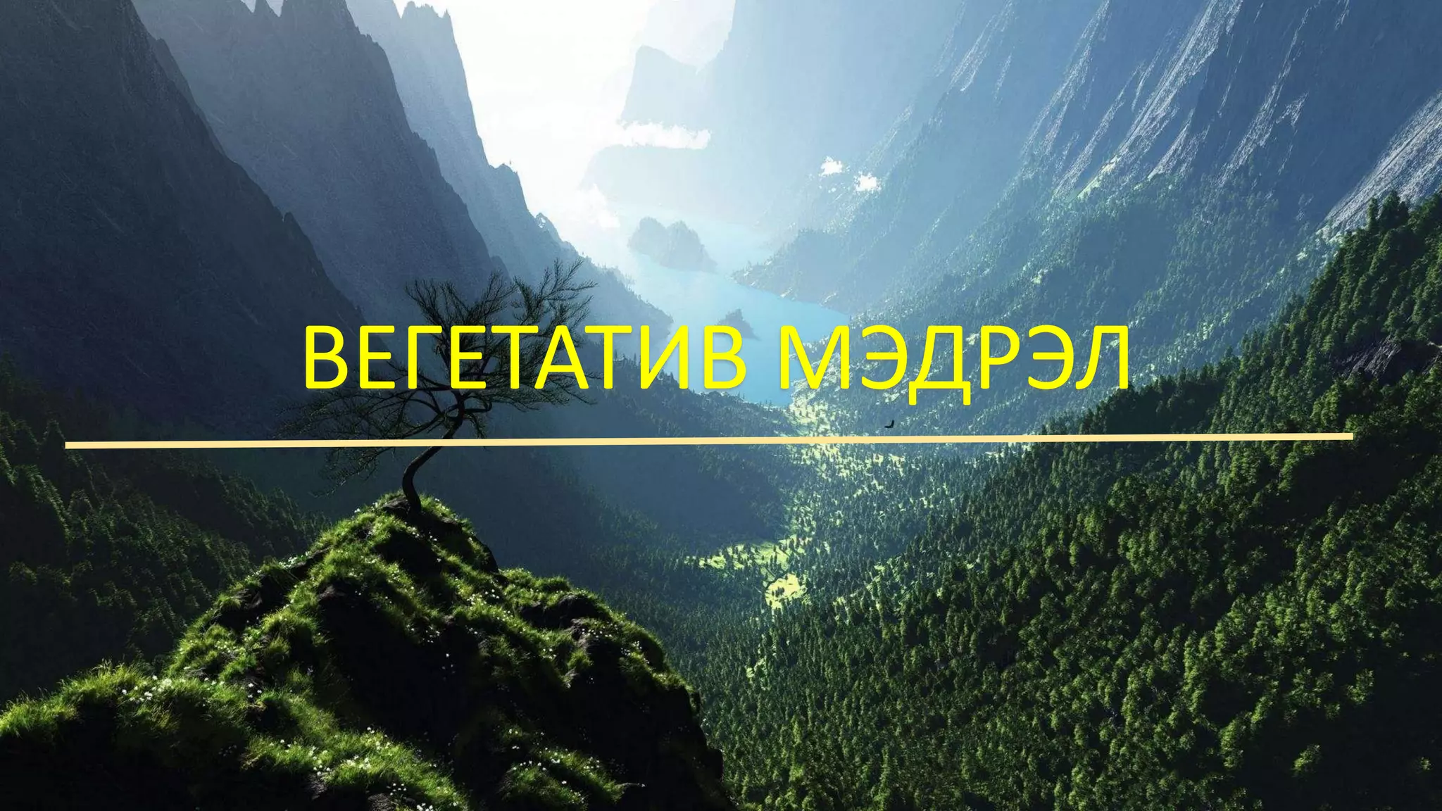 ТМТ | PPT
