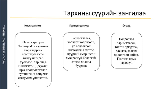 ТМТ | PPT