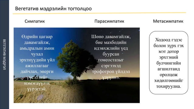ТМТ | PPTX