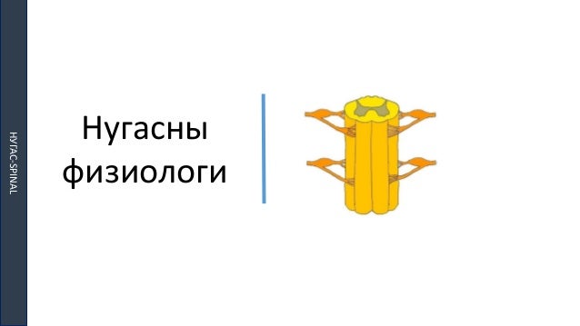 ТМТ