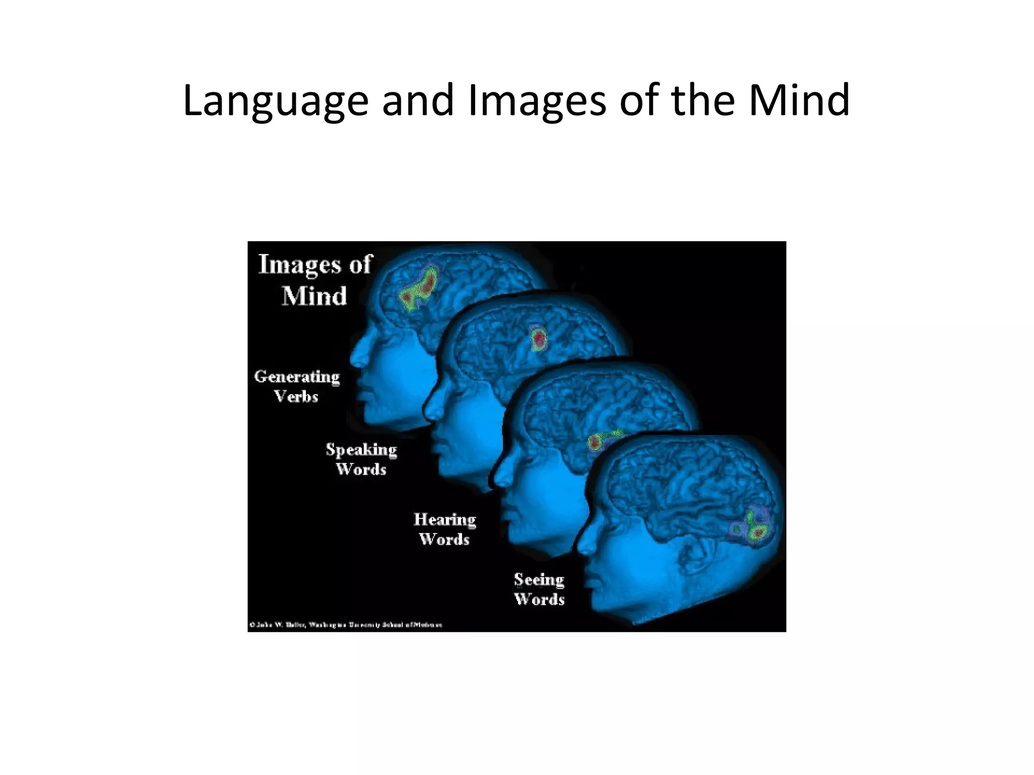 Дээд мэдрэл | PPT