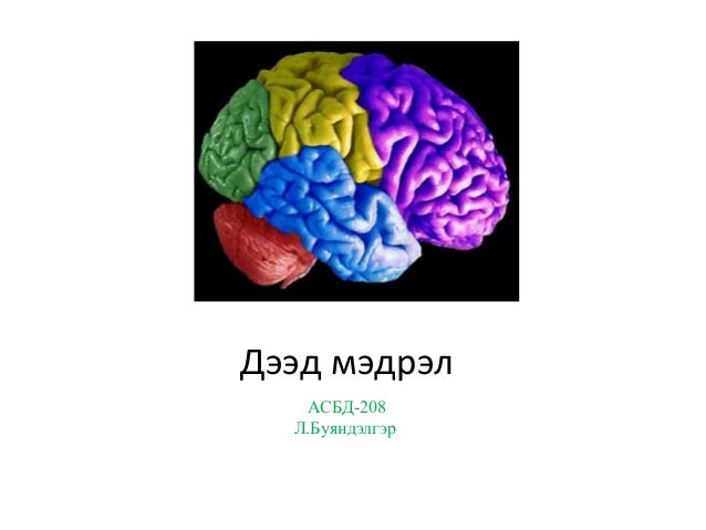 Дээд мэдрэл
