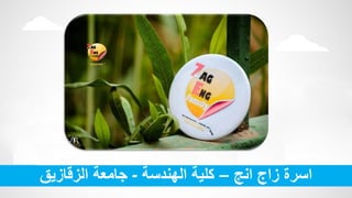 ‫انج‬ ‫زاج‬ ‫اسرة‬–‫الهندسة‬ ‫كلية‬-‫الزقازيق‬ ‫جامعة‬
 