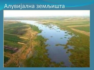 Алувијална земљишта
 