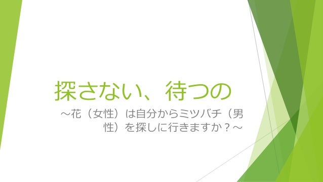 花 ミツバチ