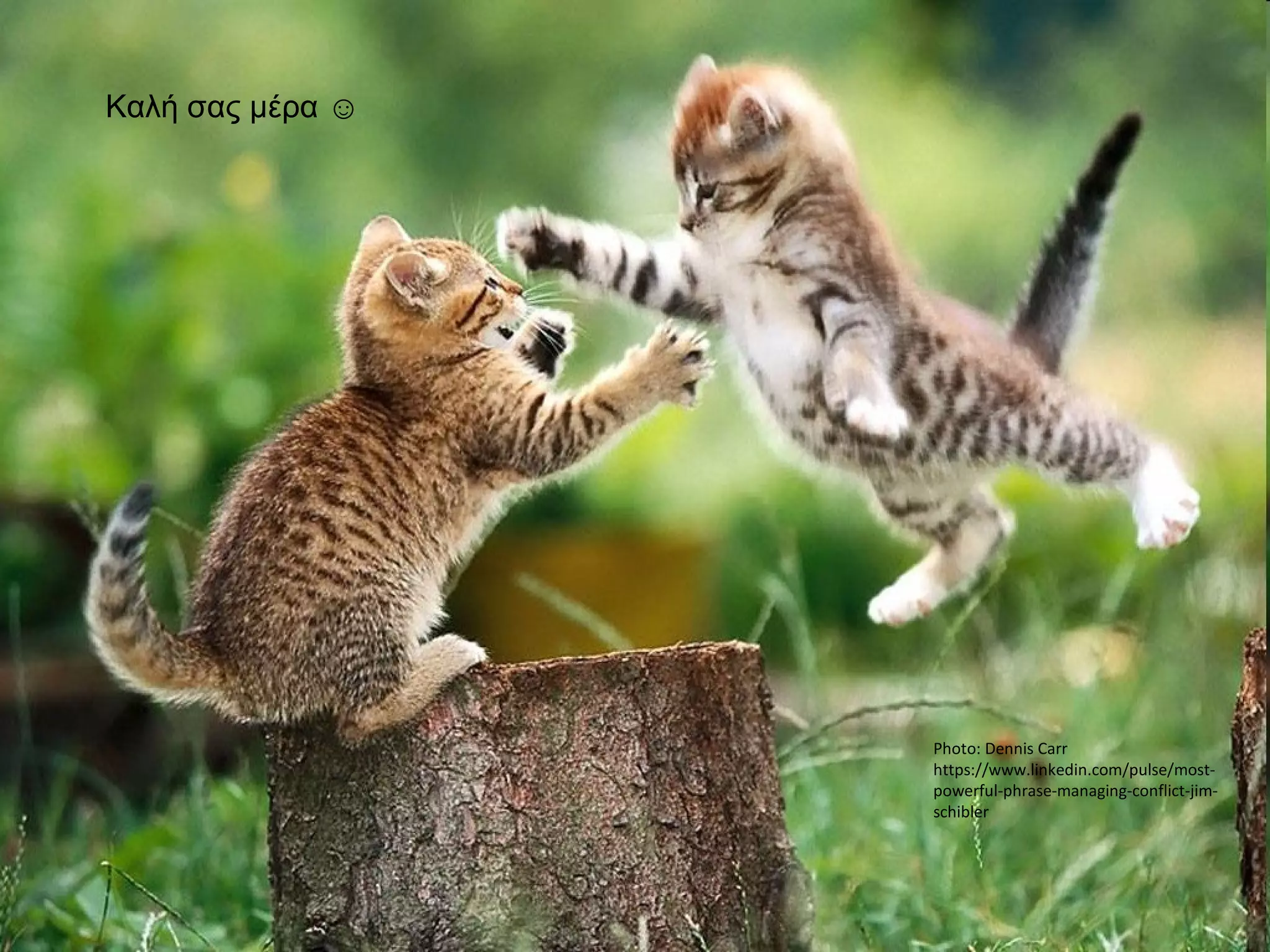 Καλή σας μέρα ☺
Photo: Dennis Carr
https://www.linkedin.com/pulse/most-
powerful-phrase-managing-conflict-jim-
schibler
 