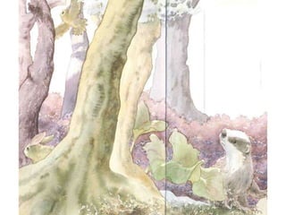 H περιπέτεια του μικρού ασβού