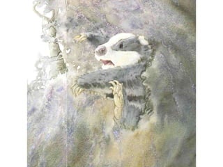 H περιπέτεια του μικρού ασβού