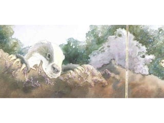 H περιπέτεια του μικρού ασβού