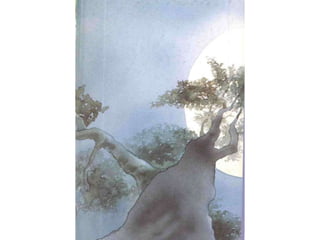 H περιπέτεια του μικρού ασβού