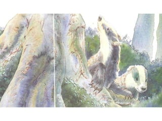 H περιπέτεια του μικρού ασβού