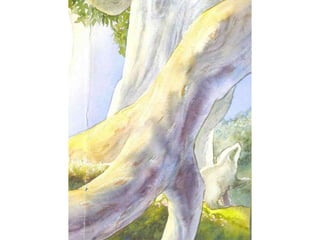 H περιπέτεια του μικρού ασβού