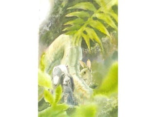 H περιπέτεια του μικρού ασβού