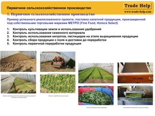 www.trade-help.com
Первичное сельскохозяйственное производство
1. Первичное сельскохозяйственное производство
Пример успешного реализованного проекта: поставка салатной продукции, произведенной
под собственными торговыми марками МЕТРО (Fine Food, Horeca Select)
1. Контроль культивации земли и использования удобрений
2. Контроль использования семенного материала
3. Контроль использования нитратов, пестицидов на этапе выращивания продукции
4. Контроль сбора продукции с поля и доставки до переработки
5. Контроль первичной переработки продукции
 