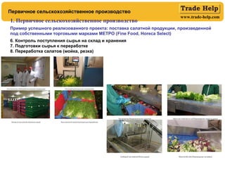www.trade-help.com
Первичное сельскохозяйственное производство
1. Первичное сельскохозяйственное производство
Пример успешного реализованного проекта: поставка салатной продукции, произведенной
под собственными торговыми марками МЕТРО (Fine Food, Horeca Select)
6. Контроль поступления сырья на склад и хранения
7. Подготовки сырья к переработке
8. Переработка салатов (мойка, резка)
 