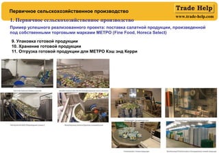 www.trade-help.com
Первичное сельскохозяйственное производство
1. Первичное сельскохозяйственное производство
Пример успешного реализованного проекта: поставка салатной продукции, произведенной
под собственными торговыми марками МЕТРО (Fine Food, Horeca Select)
9. Упаковка готовой продукции
10. Хранение готовой продукции
11. Отгрузка готовой продукции для МЕТРО Кэш энд Керри
 