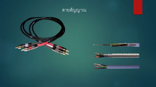 สายสัญญาณ
 