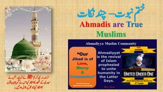 ‫وبنت‬‫متخ‬–‫اکن‬‫دنچ‬‫ت‬
Ahmadis are True
Muslims
 