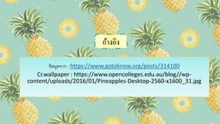 อ้างอิง
ข้อมูลจาก : https://www.gotoknow.org/posts/314100
Cr.wallpaper : https://www.opencolleges.edu.au/blog//wp-
content/uploads/2016/01/Pineapples-Desktop-2560-x1600_31.jpg
 