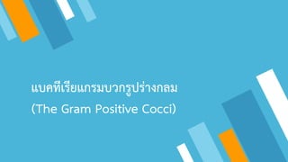 แบคทีเรียแกรมบวกรูปร่างกลม
(The Gram Positive Cocci)
 