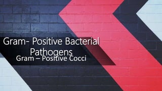 Gram- Positive Bacterial
Pathogens
Gram – Positive Cocci
 