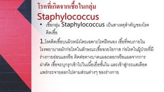 โรคที่เกิดจากเชื้อในกลุ่ม
Staphylococcus
• เชื้อกลุ่ม Staphylococcus เป็นสาเหตุสาคัญของโรค
ติดเชื้อ
1.โรคติดเชื้อบนผิวหนังโดยเฉพาะโรคฝีหนอง เชื้อที่พบภายใน
โรงพยาบาลมักก่อโรคในลักษณะเชื้อฉวยโอกาส ก่อโรคในผู้ป่วยที่มี
ร่างกายอ่อนแอหรือ ติดต่อทางบาดแผลถลอกหรือแผลจากการ
ผ่าตัด เชื้อจะบุกรุกเข้าไปในเนื้อเยื่อชั้นใน และเข้าสู่กระแสเลือด
แพร่กระจายออกไปตามส่วนต่างๆ ของร่างกาย
 