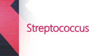 Streptococcus
 
