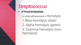 Streptococcus
• การแบ่งกลุ่มย่อย
– แบ่งตามลักษณะของการ Hemolysis
1. Beta-hemolysis (clear)
2. Alpha-hemolysis (green)
3. Gramma-hemolysis (non-
hemolysis)
 