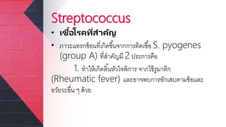 Streptococcus
• เชื้อโรคที่สาคัญ
• ภาวะแทรกซ้อนที่เกิดขึ้นจากการติดเชื้อ S. pyogenes
(group A) ที่สาคัญมี 2 ประการคือ
1. ทาให้เกิดลิ้นหัวใจพิการ จากไข้รูมาติก
(Rheumatic fever) และอาจพบการอักเสบตามข้อและ
อวัยวะอื่น ๆ ด้วย
 