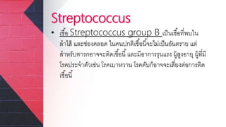 Streptococcus
• เชื้อ Streptococcus group B เป็นเชื้อที่พบใน
ลาไส้ และช่องคลอด ในคนปกติเชื้อนี้จะไม่เป็นอันตราย แต่
สาหรับทารกอาจจะติดเชื้อนี้และมีอาการรุนแรง ผู้สูงอายุ ผู้ที่มี
โรคประจาตัวเช่น โรคเบาหวาน โรคตับก็อาจจะเสี่ยงต่อการติด
เชื้อนี้
 