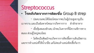 Streptococcus
• โรคที่เกิดจากการติดเชื้อ Group B strep
- ปอดบวมพบได้น้อยโดยมากพบในผู้ป่วยสูงอายุเป็น
เบาหวาน และเป็นอัมพาตโดยมากเกิดจากการ สาลักอาหาร
- เยื่อหุ้มสมองอักเสบ มักพบในทารกที่มีความพิการทาง
สมอง ส่วนผู้ใหญ่พบน้อย
- โลหิตเป็นพิษมักจะเกิดจากการติดเชื้อทางเดินปัสสาวะ
และจากตาแหน่งที่ให้น้าเกลือ แต่ไม่พบตาแหน่งติดเชื้อก็มาก
 