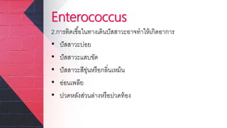 Enterococcus
2.การติดเชื้อในทางเดินปัสสาวะอาจทาให้เกิดอาการ
• ปัสสาวะบ่อย
• ปัสสาวะแสบขัด
• ปัสสาวะสีขุ่นหรือกลิ่นเหม็น
• อ่อนเพลีย
• ปวดหลังส่วนล่างหรือปวดท้อง
 