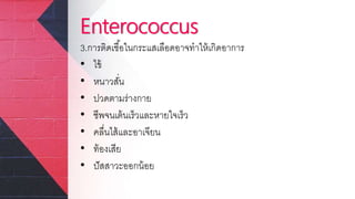 Enterococcus
3.การติดเชื้อในกระแสเลือดอาจทาให้เกิดอาการ
• ไข้
• หนาวสั่น
• ปวดตามร่างกาย
• ชีพจนเต้นเร็วและหายใจเร็ว
• คลื่นไส้และอาเจียน
• ท้องเสีย
• ปัสสาวะออกน้อย
 