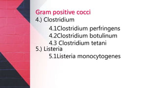 Gram positive cocci
4.) Clostridium
4.1Clostridium perfringens
4.2Clostridium botulinum
4.3 Clostridium tetani
5.) Listeria
5.1Listeria monocytogenes
 