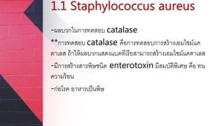 1.1 Staphylococcus aureus
-ผลบวกในการทดสอบ catalase
**การทดสอบ catalase คือการทดสอบการสร้างเอมไซม์แค
ตาเลส ถ้าให้ผลบวกแสดงแบคทีเรียสามารถสร้างเอมไซม์แคตาเลส
-มีการสร้างสารพิษชนิด enterotoxin มีสมบัติพิเศษ คือ ทน
ความร้อน
-ก่อโรค อาหารเป็นพิษ
 