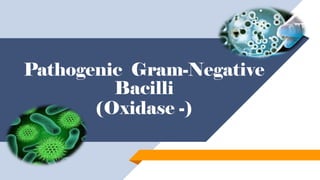 Pathogenic Gram-Negative
Bacilli
(Oxidase -)
 