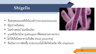 Shigella
10
• ชื่อสกุลของแบคทีเรียในวงศ์ Enterobacteriaceae
• มีรูปร่างเป็นท่อน
• ไม่สร้างสปอร์ ไม่เคลื่อนไหว
• แบคทีเรียก่อโรค (pathogen) ที่ติดต่อผ่านทางอาหาร
• ทาให้เกิดโรคอาหารเป็นพิษ (food poisoning)
• ซึ่งเกิดจากการติดเชื้อ (infection) ทาให้เกิดโรคบิด หรือ shigellosis
 