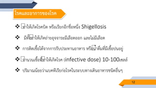 12
โรคและอาการของโรค
 ทาให้เกิดโรคบิด หรือเรียกอีกชื่อหนึ่ง Shigellosis
 มีทั้งทาให้เกิดถ่ายอุจจาระมีเลือดออก และไม่มีเลือด
 การติดเชื้อได้จากการรับประทานอาหาร หรือน้าดื่มที่มีเชื้อปนอยู่
 จานวนเชื้อที่ทาให้เกิดโรค (infective dose) 10-100เซลล์
 ปริมาณน้อยว่าแบคทีเรียก่อโรคในระบบทางเดินอาหารชนิดอื่นๆ
 