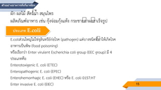 15
E.coliส่วนใหญ่ไม่ใช่จุลินทรีย์ก่อโรค (pathogen) แต่บางชนิดที่ทาให้เกิดโรค
อาหารเป็นพิษ (food poisoning)
หรือเรียกว่า Enter virulent Escherichia coli group (EEC group) มี 4
ประเภทคือ
Enterotoxigenic E. coli (ETEC)
Enteropathogenic E. coli (EPEC)
Enterohemorrhagic E. coli (EHEC) หรือ E. coli 0157:H7
Enter invasive E. coli (EIEC)
ตัวอย่างอาหารที่เกี่ยวข้อง
ผัก ผลไม้ สัตว์น้า สมุนไพร
ผลิตภัณฑ์อาหาร เช่น กุ้งจ่อมกุ้งแห้ง กระชายดาผงสาเร็จรูป
ประเภท E.coli
 