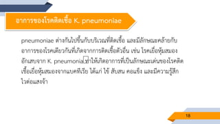 18
อาการของโรคติดเชื้อ K. pneumoniae
pneumoniae ต่างกันไปขึ้นกับบริเวณที่ติดเชื้อ และมีลักษณะคล้ายกับ
อาการของโรคเดียวกันที่เกิดจากการติดเชื้อตัวอื่น เช่น โรคเยื่อหุ้มสมอง
อักเสบจาก K. pneumonia ทาให้เกิดอาการที่เป็นลักษณะเด่นของโรคติด
เชื้อเยื่อหุ้มสมองจากแบคทีเรีย ได้แก่ ไข้ สับสน คอแข็ง และมีความรู้สึก
ไวต่อแสงจ้า
 