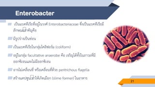 Enterobacter
▰ เป็นแบคทีเรียที่อยู่ในวงศ์ Enterobacteriaceae ซึ่งเป็นแบคทีเรียมี
ลักษณะสาคัญคือ
▰มีรูปร่างเป็นท่อน
▰เป็นแบคทีเรียในกลุ่มโคลิฟอร์ม (coliform)
▰อยู่ในกลุ่ม facultative anaerobe คือ เจริญได้ทั้งในภาวะที่มี
ออกซิเจนและไม่มีออกซิเจน
▰อาจไม่เคลื่อนที่ หรือเคลื่อนที่ด้วย peritrichous flagella
▰สร้างแคปซูน ทาให้เกิดเมือก (slime former) ในอาหาร
21
 