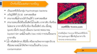 24
สายพันธุ์ของ Yersinai ที่เป็นแบคทีเรียก่อ
โรค (pathogen) ที่สาคัญในอาหาร คือ
Yersinia enterocolitica
ปัจจัยที่มีผลต่อการเจริญ
• เป็นแบคทีเรียในกลุ่ม Psychrotropic bacteria
• เจริญได้ดีที่ 25-30 องศาเซลเซียส
• สามารถเพิ่มจานวนได้ ถึงแม้ที่ 5 องศาเซลเซียส
• สามารถพบเชื้อได้ในเนื้อสัตว์ น้านมดิบ อาหารดิบ ที่เตรียม
ไม่สะอาด อาหารที่เกี่ยวข้อง คือเนื้อสัตว์ เช่น เนื้อหมู
(pork) เนื้อวัว (beef) เนื้อแกะ (lamb) หอยนางรม
(oyster) ปลา และน้านมดิบ (raw milk) การปนเปื้อนอาจ
มาจากดิน
• น้า หรือสัตว์ต่างๆ ที่มีเชื้อ หรืออาจเกิดจากการสุขาภิบาล
ที่ไม่เหมาะสม ทาให้เกิดการปนเปื้อนข้าม (cross
contamination
 