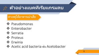 ตัวอย่างแบคทีเรียแกรมลบ
5
 Pseudomonas
 Enterobacter
 Serratia
 Proteus
 Erwinia
 Acetic acid bacteria เช่น Acetobacter
สาเหตุให้อาหารเน่าเสีย
 