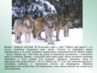 лобо | PPT