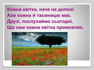 Кожна квітка, наче на долоні
Але кожна й таємницю має.
Друзі, послухаймо сьогодні,
Що нам кожна квітка промовляє.
 