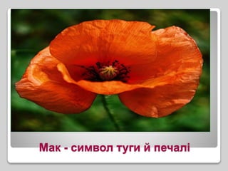 Мак - символ туги й печалі
 